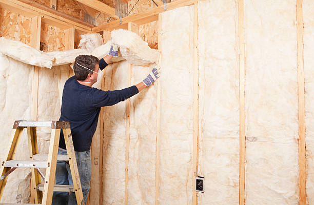 Best Spray Foam Insulation  in Grapevine, TX